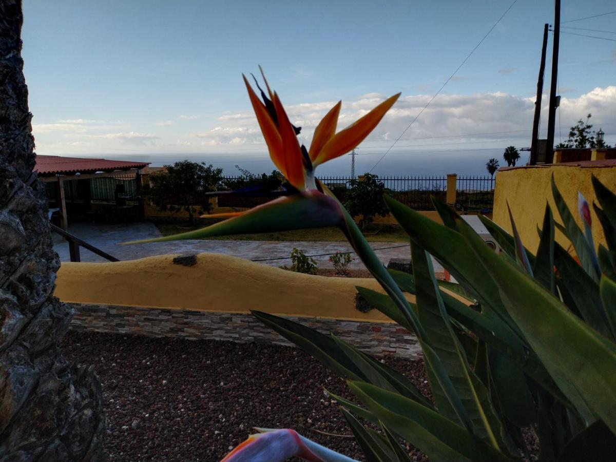Apartamento La Costa Santa-Cruz de Ténérife Extérieur photo